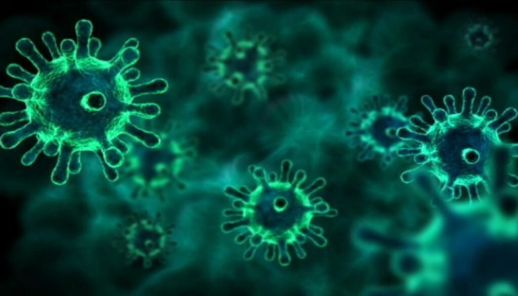 Germs