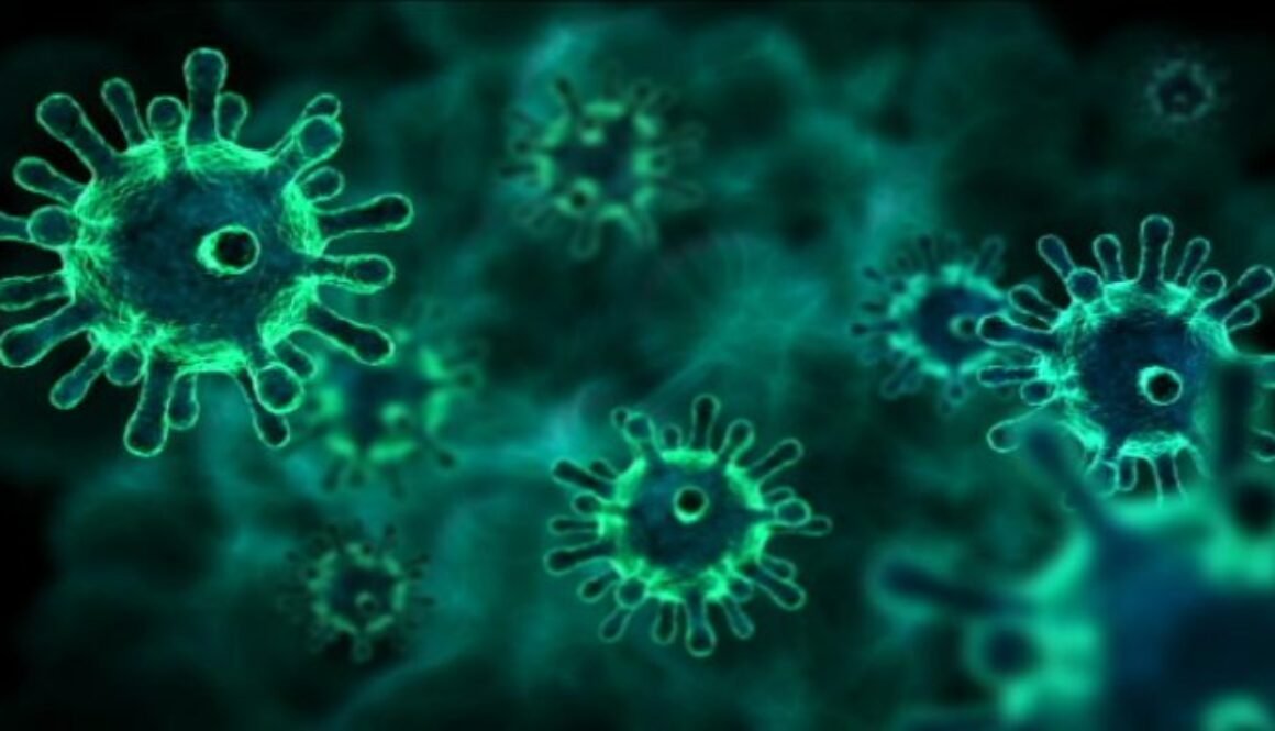 Germs