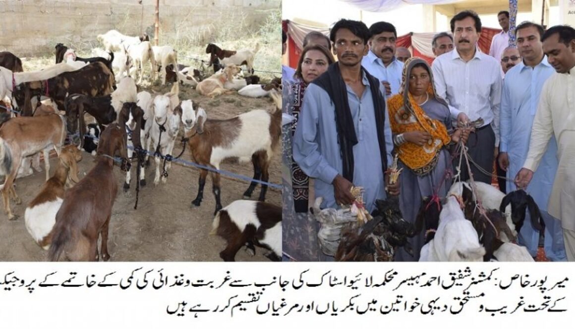 mirpur khas